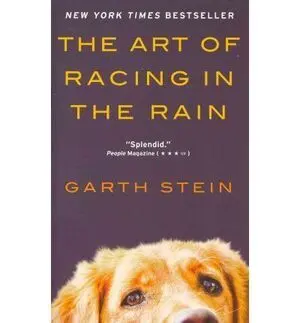 ART OF RACING IN THE RAIN INTL, THE