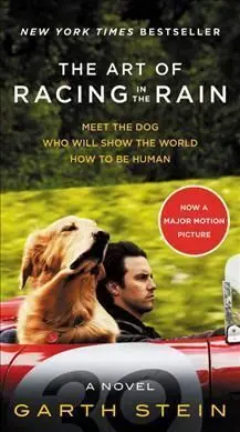 THE ART OF RACING IN THE RAIN