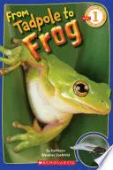 FROM TADPOLE TO FROG
