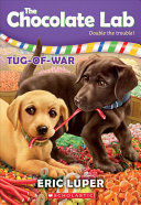 TUG-OF-WAR (THE CHOCOLATE LAB)