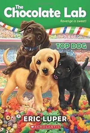 TOP DOG (THE CHOCOLATE LAB #3)