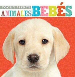 TOCA Y SIENTE ANIMALES BEBES