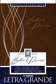 BIBLIA DE PROMESAS-RVR60-LETRA GRANDE-CAFE