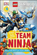 TEAM NINJA