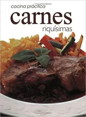 * COCINA PRACTICA CARNES RIQUISIMAS