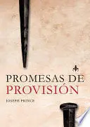 * PROMESAS DE PROVISION