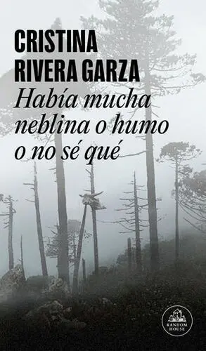 HABIA MUCHA NEBLINA O HUMO O NO SE QUE