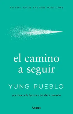 EL CAMINO A SEGUIR