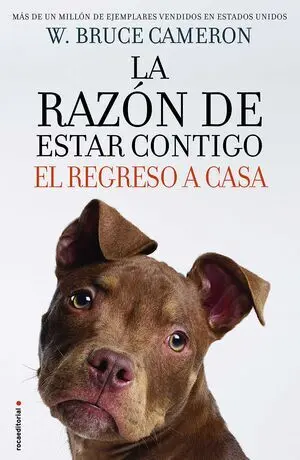 LA RAZON DE ESTAR CONTIGO 3-  EL REGRESO A CASA