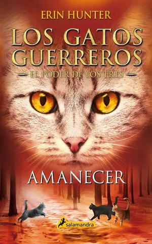 LOS GATOS GUERREROS, EL PODER DE LOS TRES 6: AMANECER