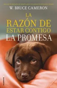 PROMESA, LA (LA RAZON DE ESTAR CONTIGO 3)