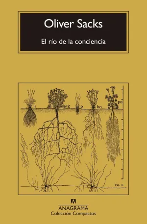EL RÍO DE LA CONCIENCIA