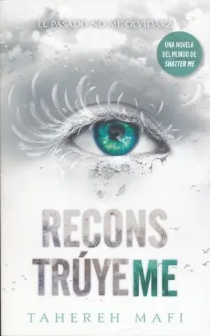 DESTROZAME 4: RECONSTRUYEME