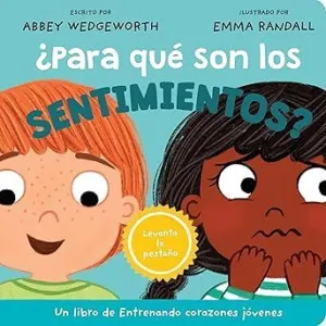 ¿PARA QUE SON LOS SENTIMIENTOS?