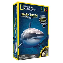 SHARK TOOTH DIG KIT