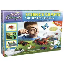 SCIENCE CRAFTS THE SECRET OF BUGS